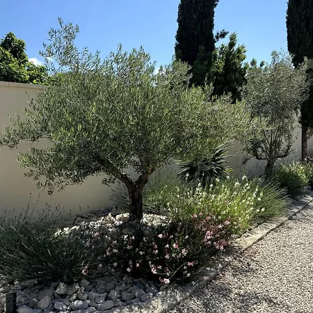 Les Lauriers Blancs Air-Conditioned Villa With Swimming Pool L'Isle-sur-la-Sorgue